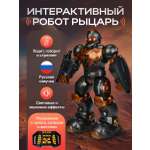 Робот РУ Рыжий кот Рыцарь
