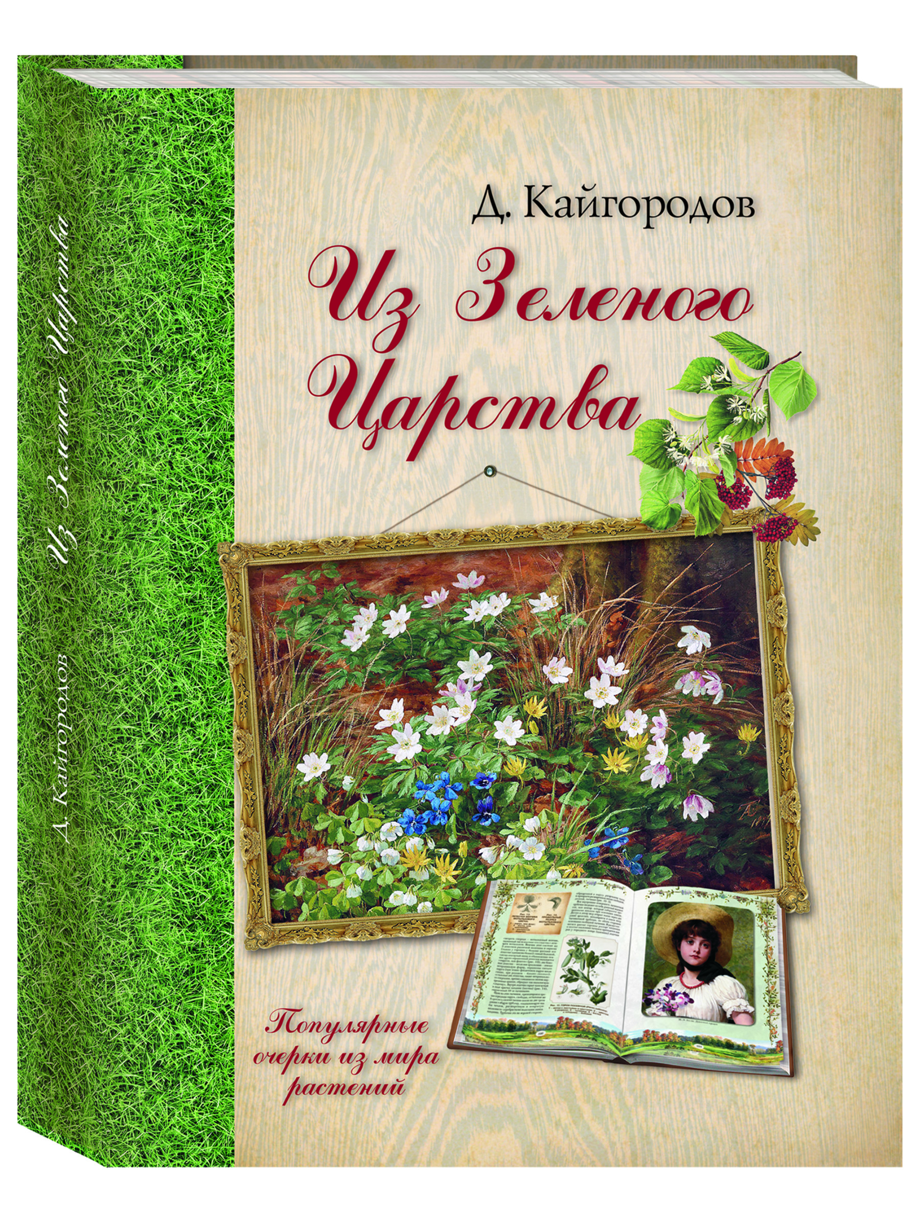 Книга Белый город Из Зеленого Царства. Популярные очерки из мира растений - фото 1