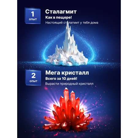 Набор для выращивания Master IQ2