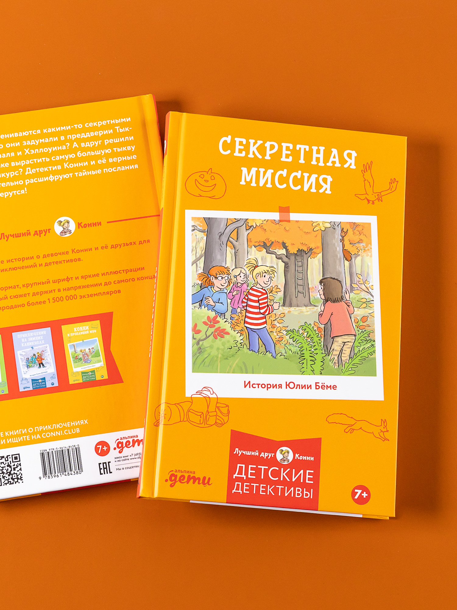 Книга Альпина. Дети Секретная миссия - фото 3