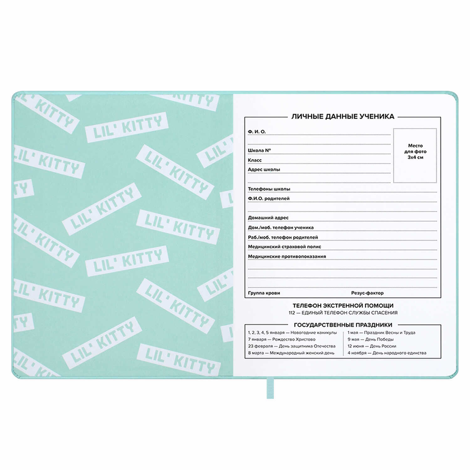 Дневник школьный Феникс + Серебряный котенок - фото 9