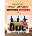 Набор сиропов SPOOM Ваниль Карамель Миндаль для кофе 3шт 250мл + 3 дозатора
