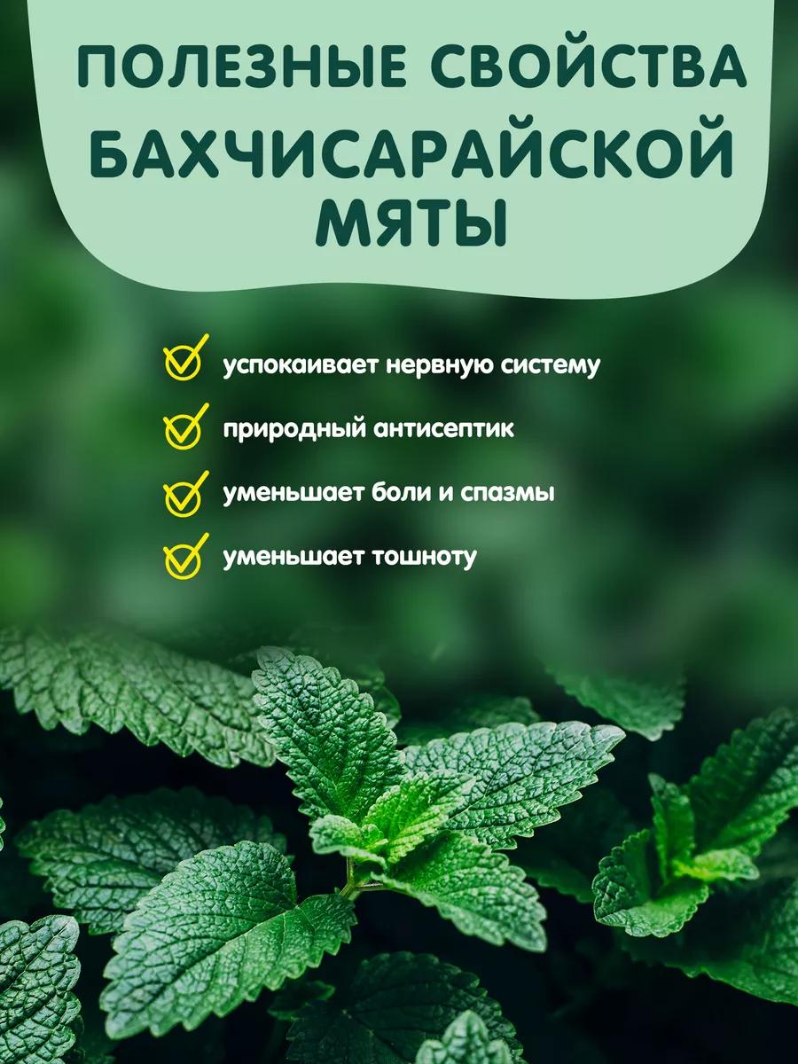 Чай в банке Травы горного Крыма С мятой - фото 4