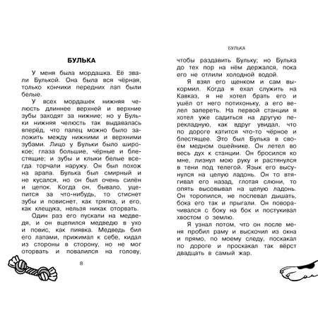 Книга АСТ Большая собачья книга