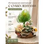 Искусственные цветы SOFANNA Собака 4-2 суккулент