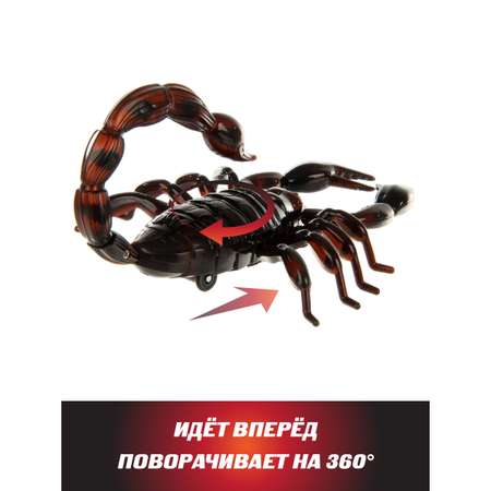 Насекомое РУ Veld Co