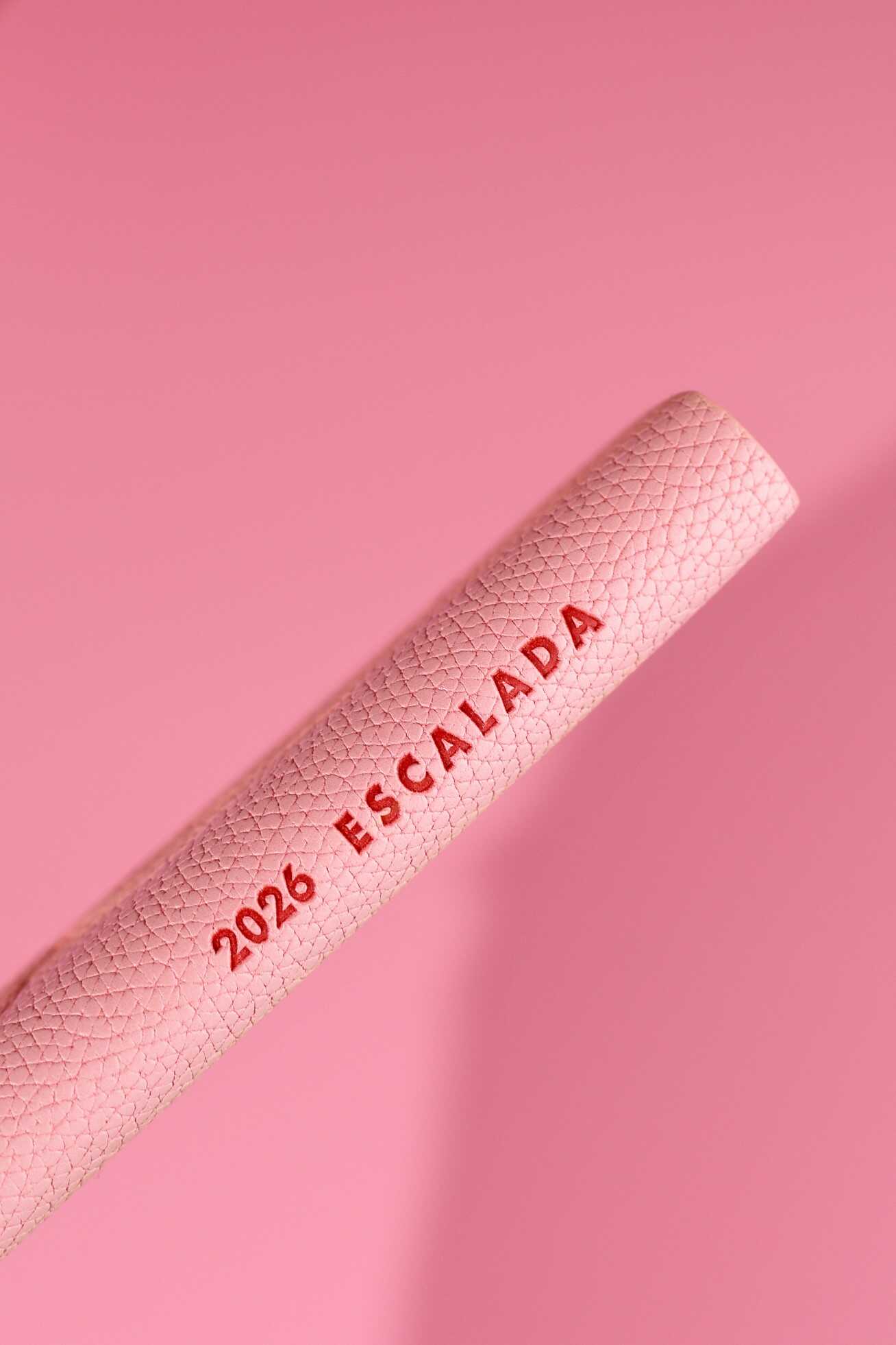 Ежедневник Феникс + ESCALADA 96 лист. - фото 12