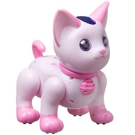 Кошка РУ Junfa