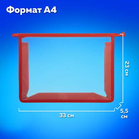Папка для тетрадей Пифагор А4