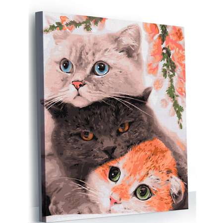Картина по номерам Hobby Paint Три нежных кота в ассортименте