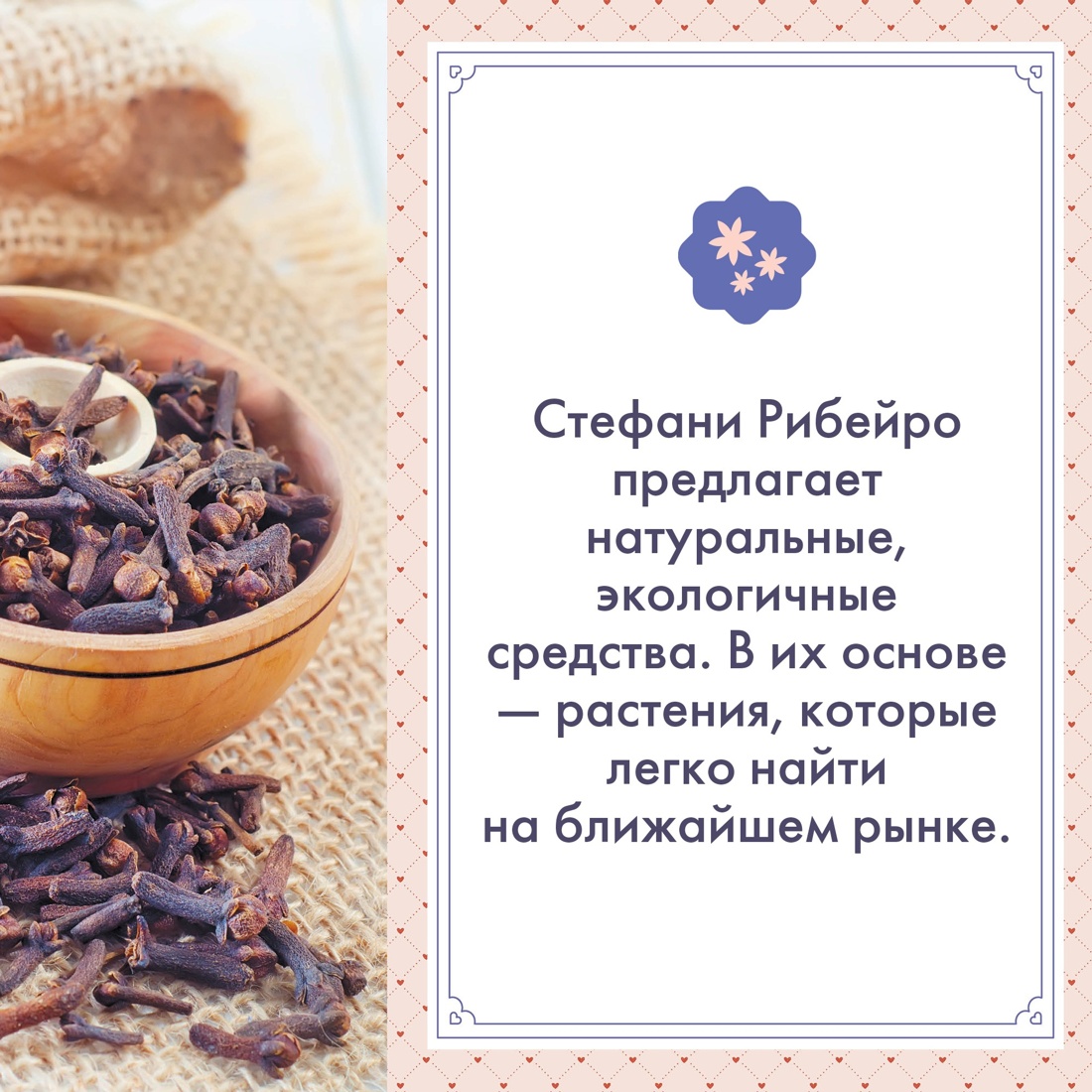 Книга КОЛИБРИ Растения любви: подарок внутри. Сборный комплект в т.у. с наклейками - фото 9