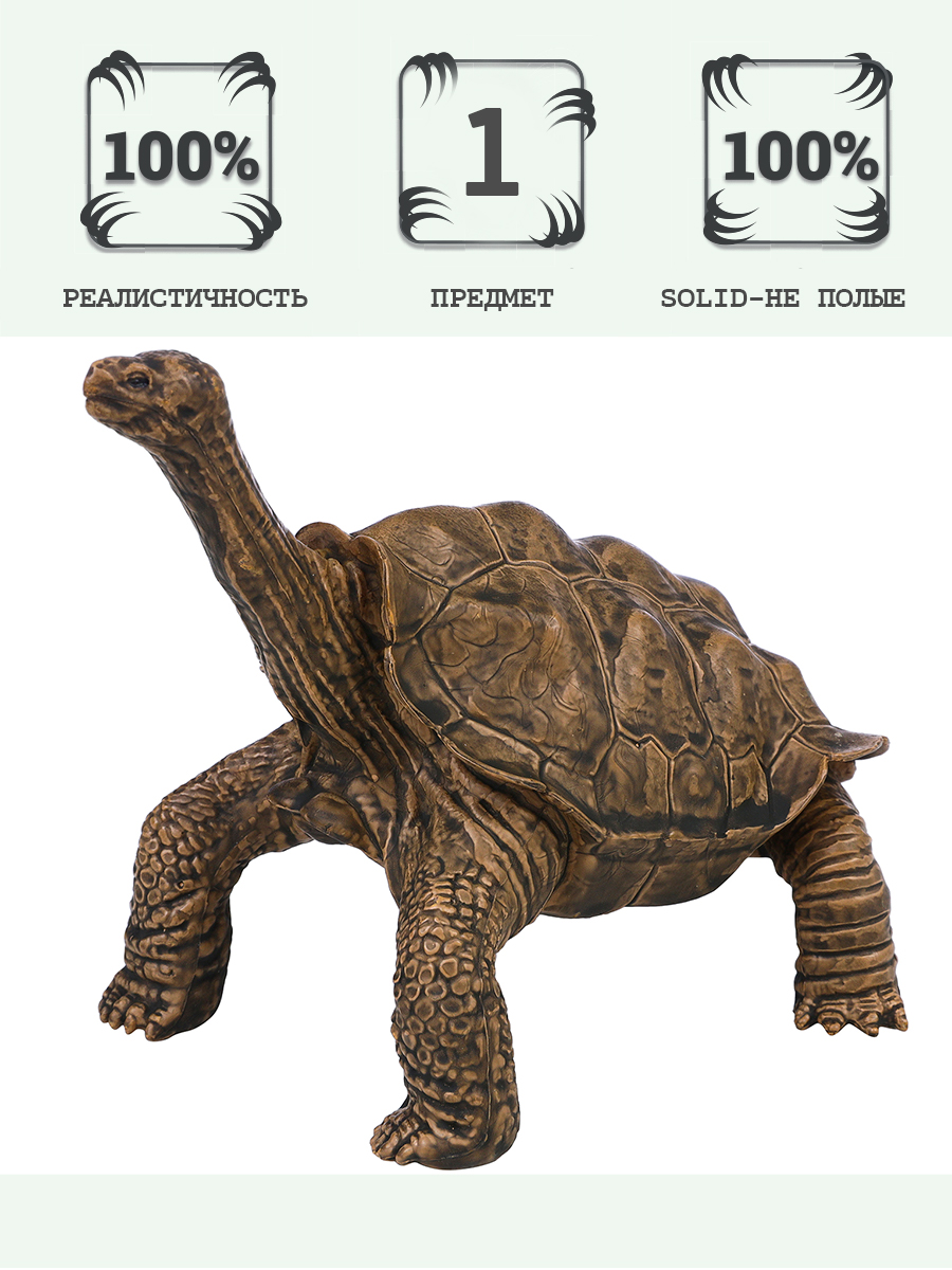 Игровой набор Masai Mara Черепаха - фото 1