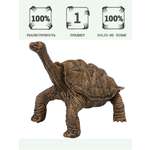 Игровой набор Masai Mara Черепаха