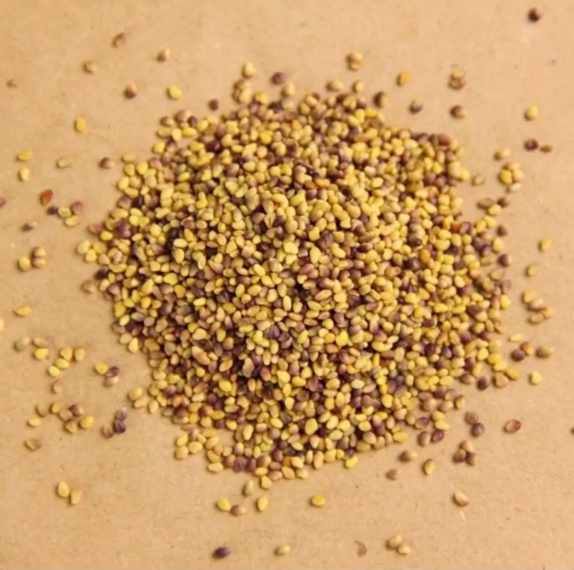 Семена для микрозелени MegaMedia клевер - фото 2