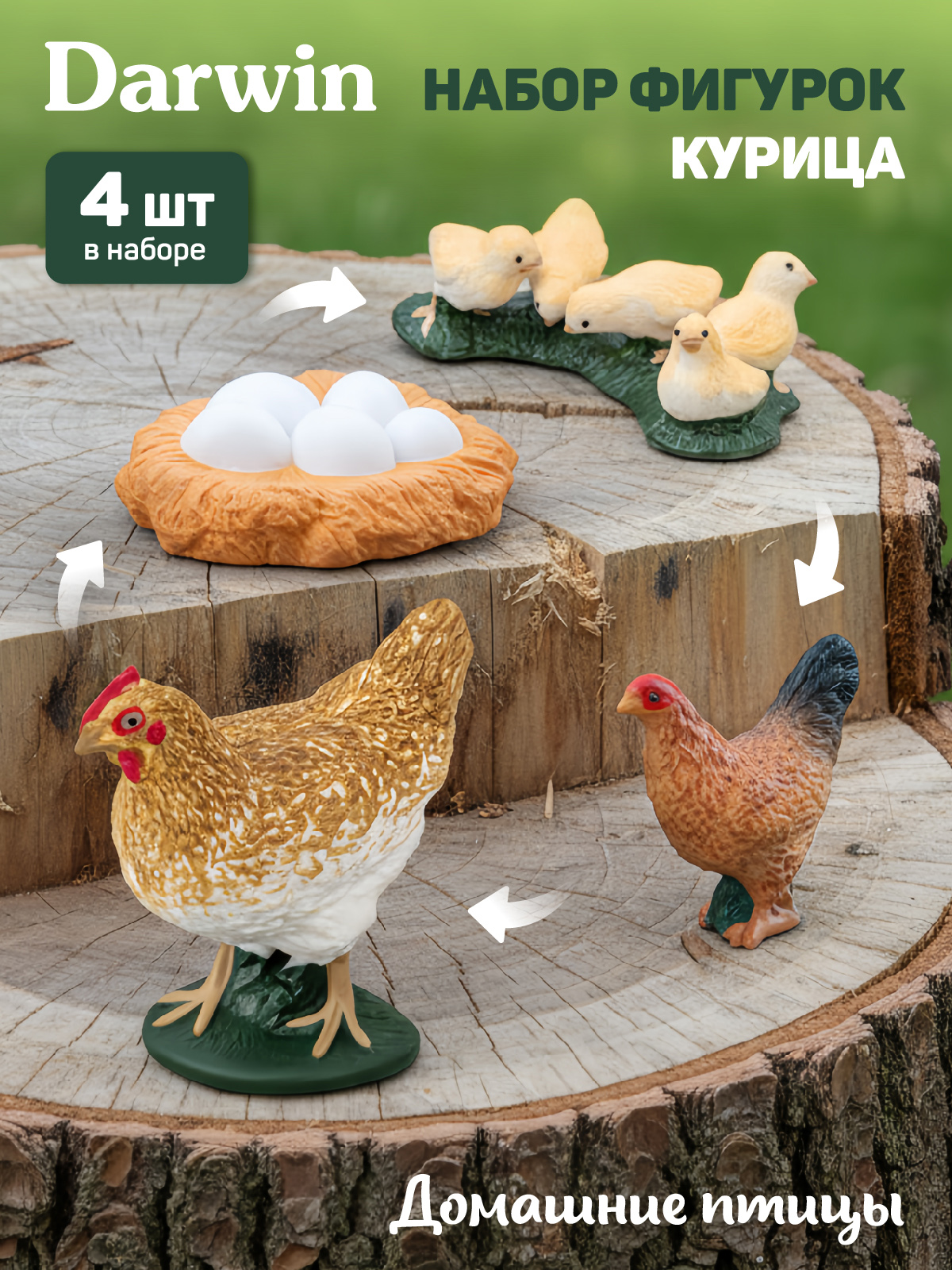 Игровой набор DARWIN Животные Курица - фото 1