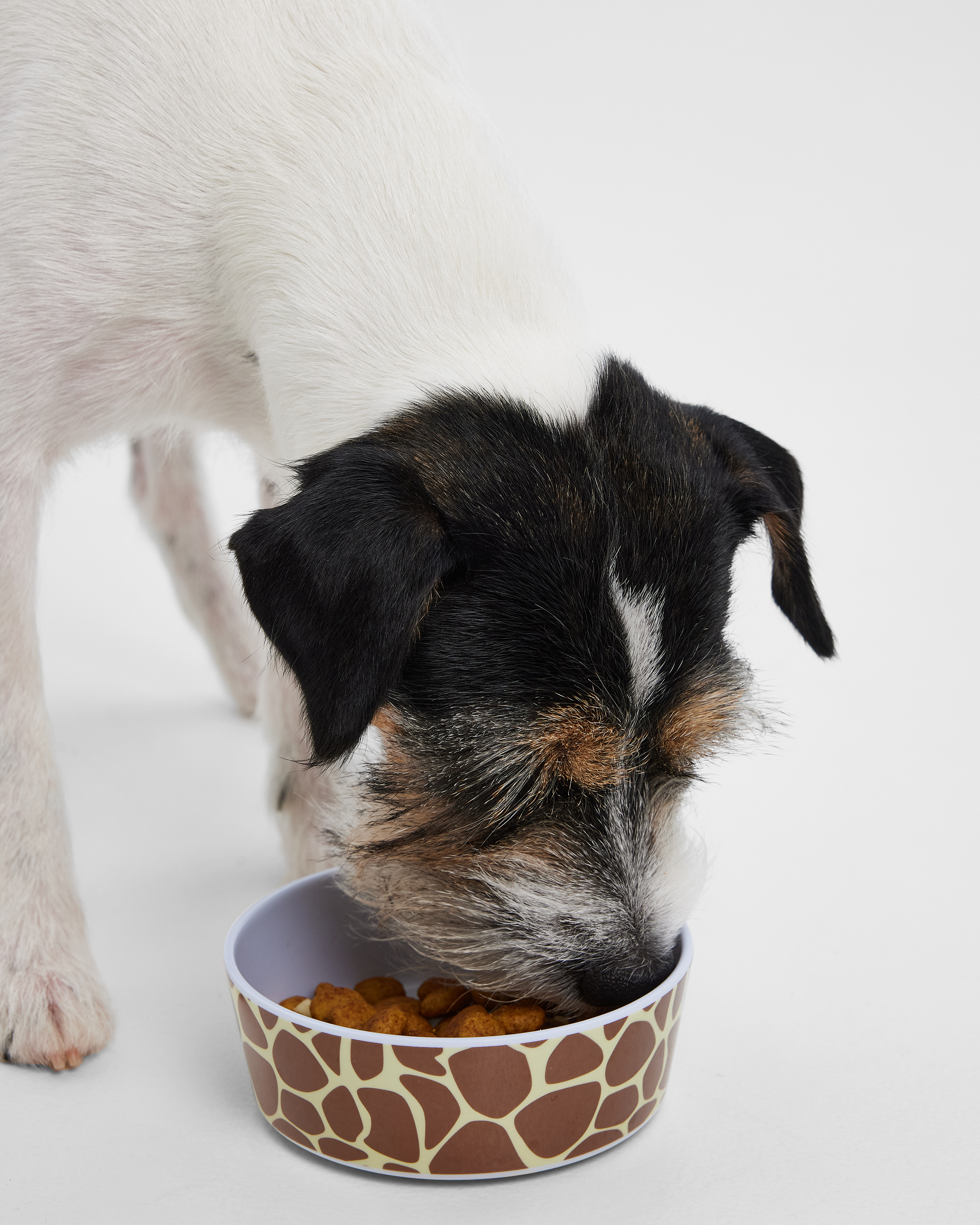 Миска для животного Barbaks Жираф 400мл меламин 13.4 4см - фото 6