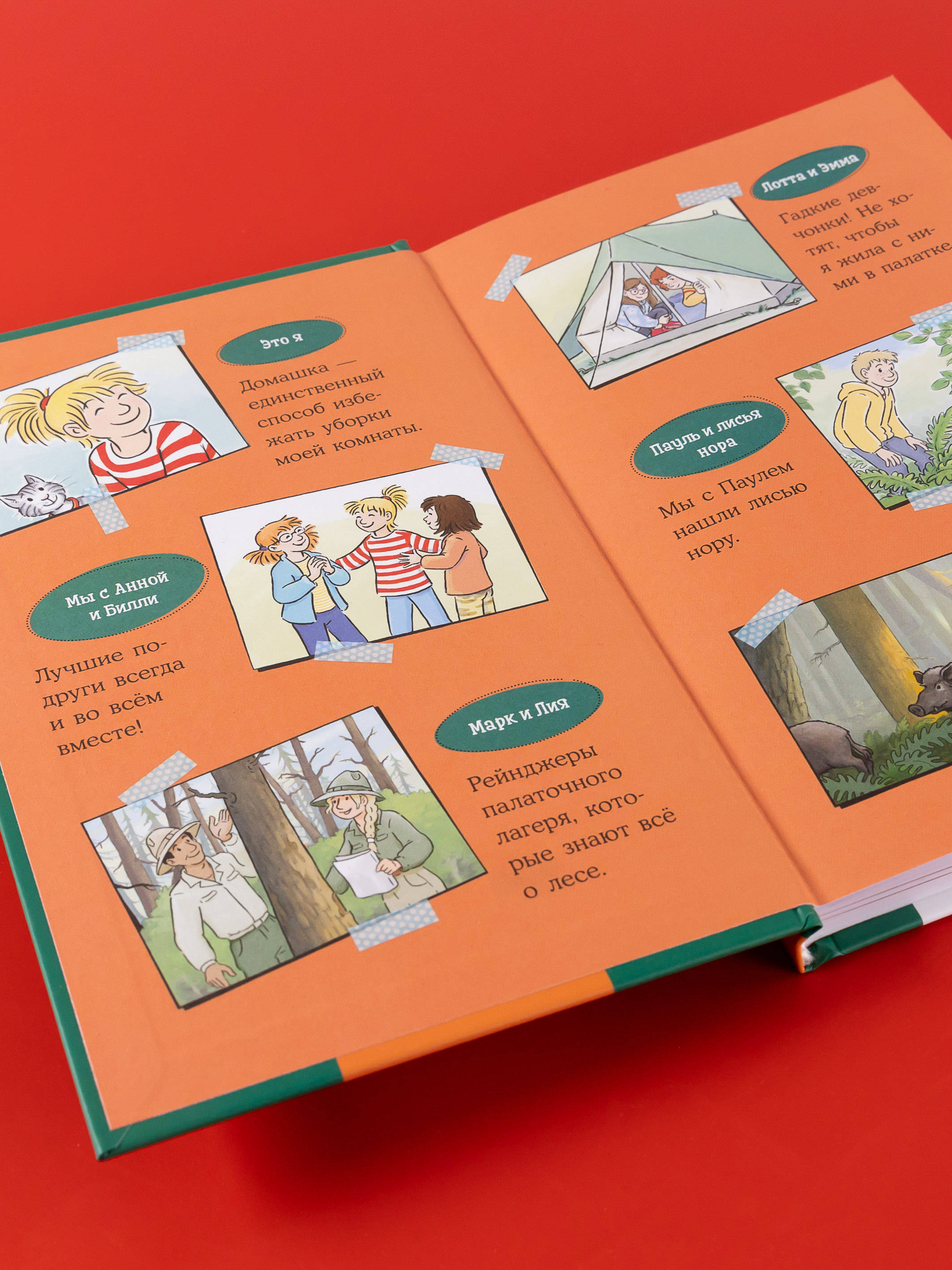 Книга Альпина. Дети Приключения Конни в ночном лесу - фото 4