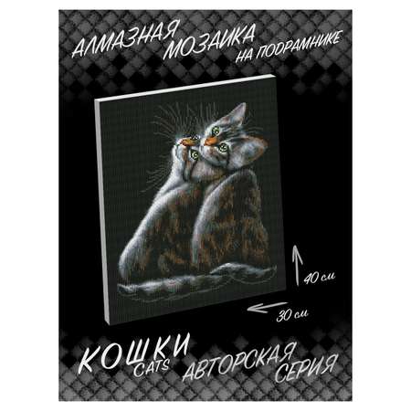 Алмазная мозаика Белоснежка Двойняшки