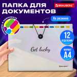 Папка-органайзер Brauberg А4