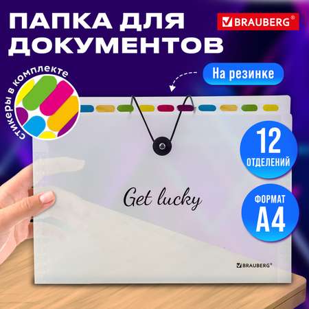 Папка-органайзер Brauberg А4