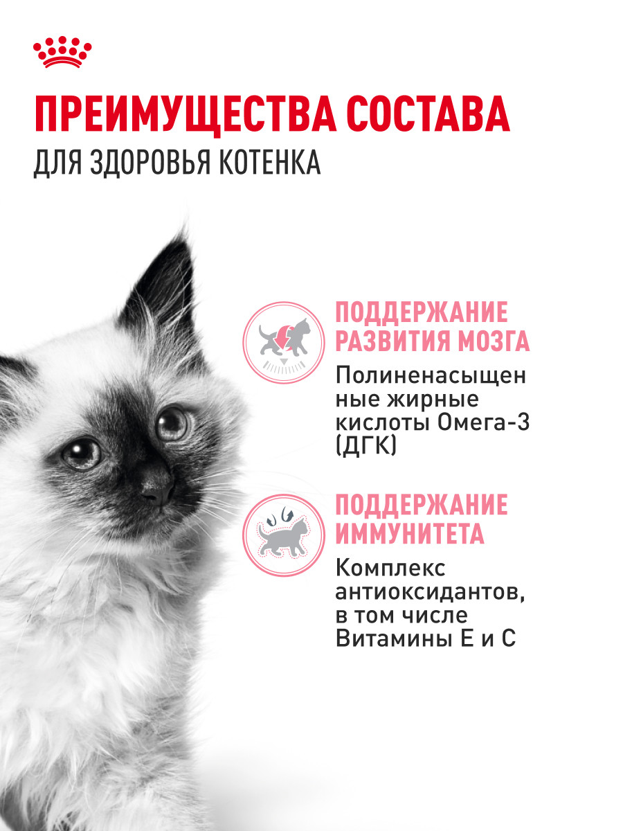 Корм влажный для котят ROYAL CANIN Kitten Instictive 85г желе пауч 77850 - фото 3