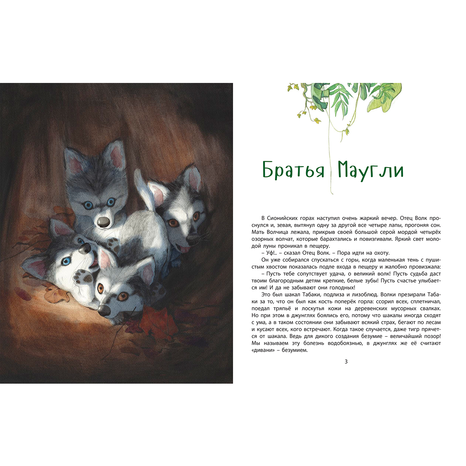 Книга ЭНАС-книга джунглей История Маугли - фото 2