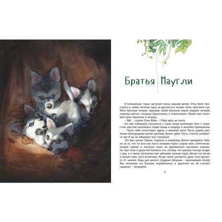Книга ЭНАС-книга джунглей История Маугли