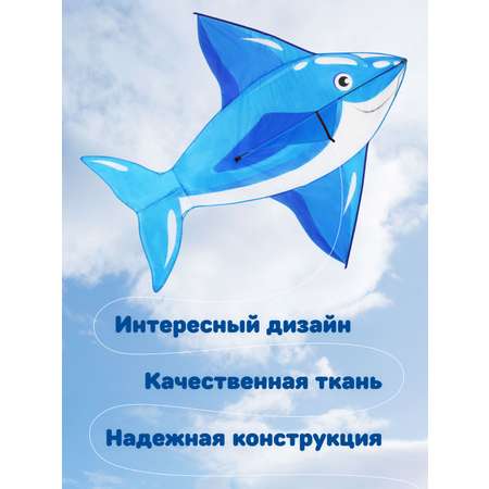 Воздушный змей Наша Игрушка для детей большой 130х145 см