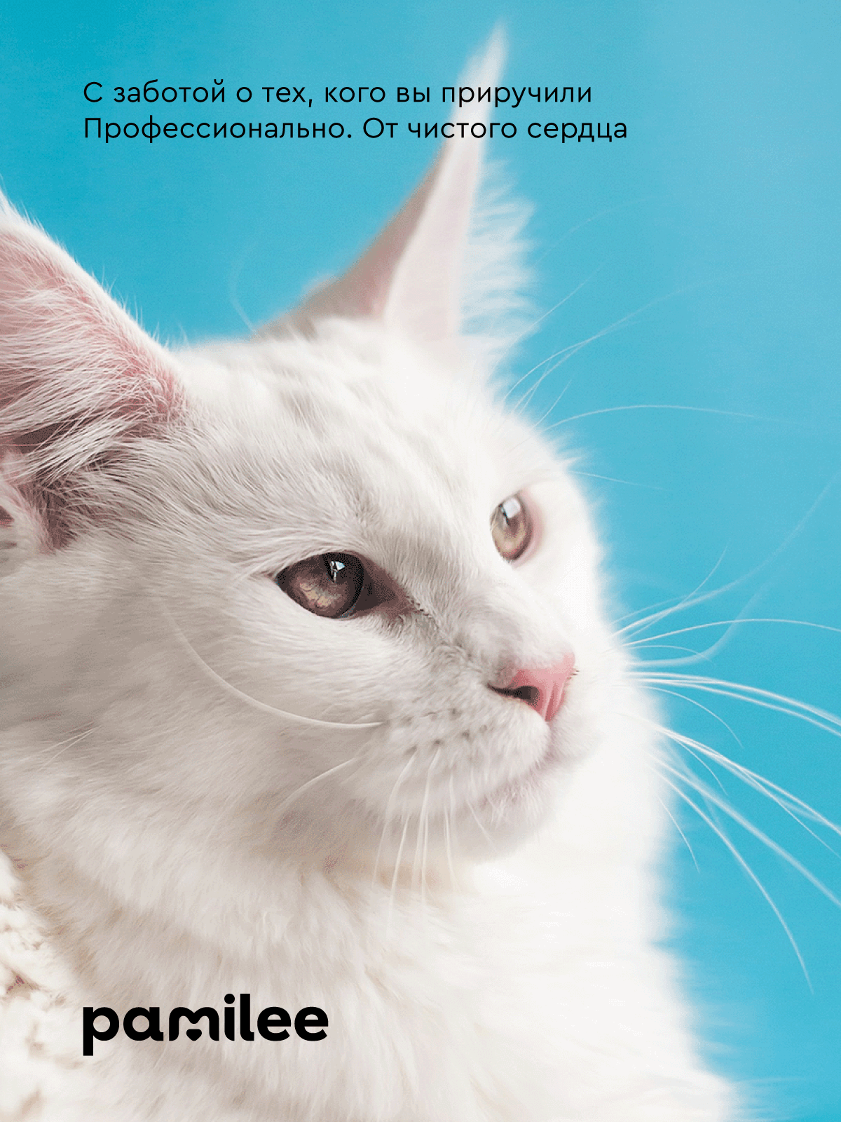 Лосьон для животных Pamilee Для глаз собак и кошек ClearEye - фото 8