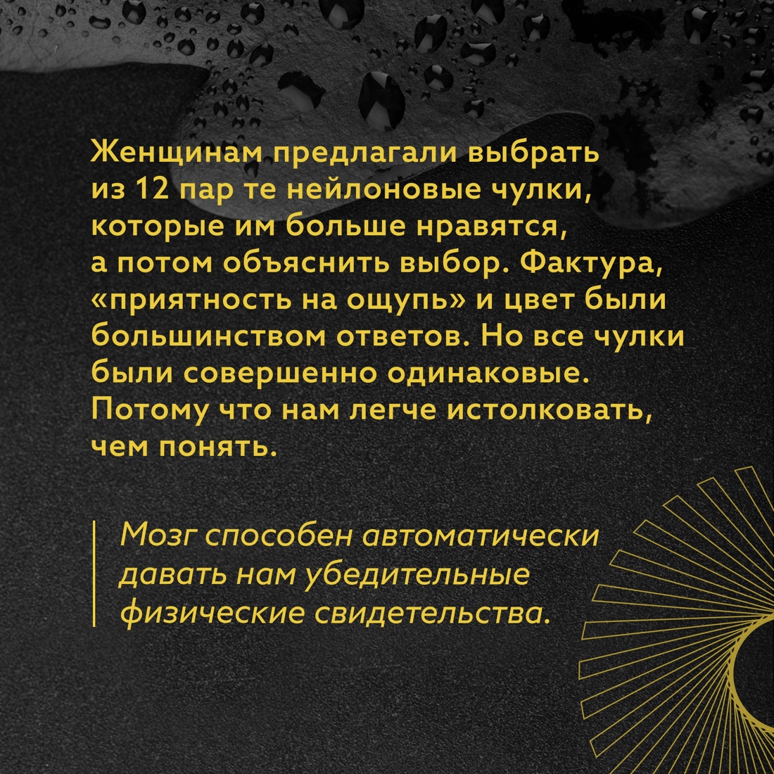 Книга КОЛИБРИ Талеб Антихрупкость Комплект с ежедневником INCERTO - фото 10