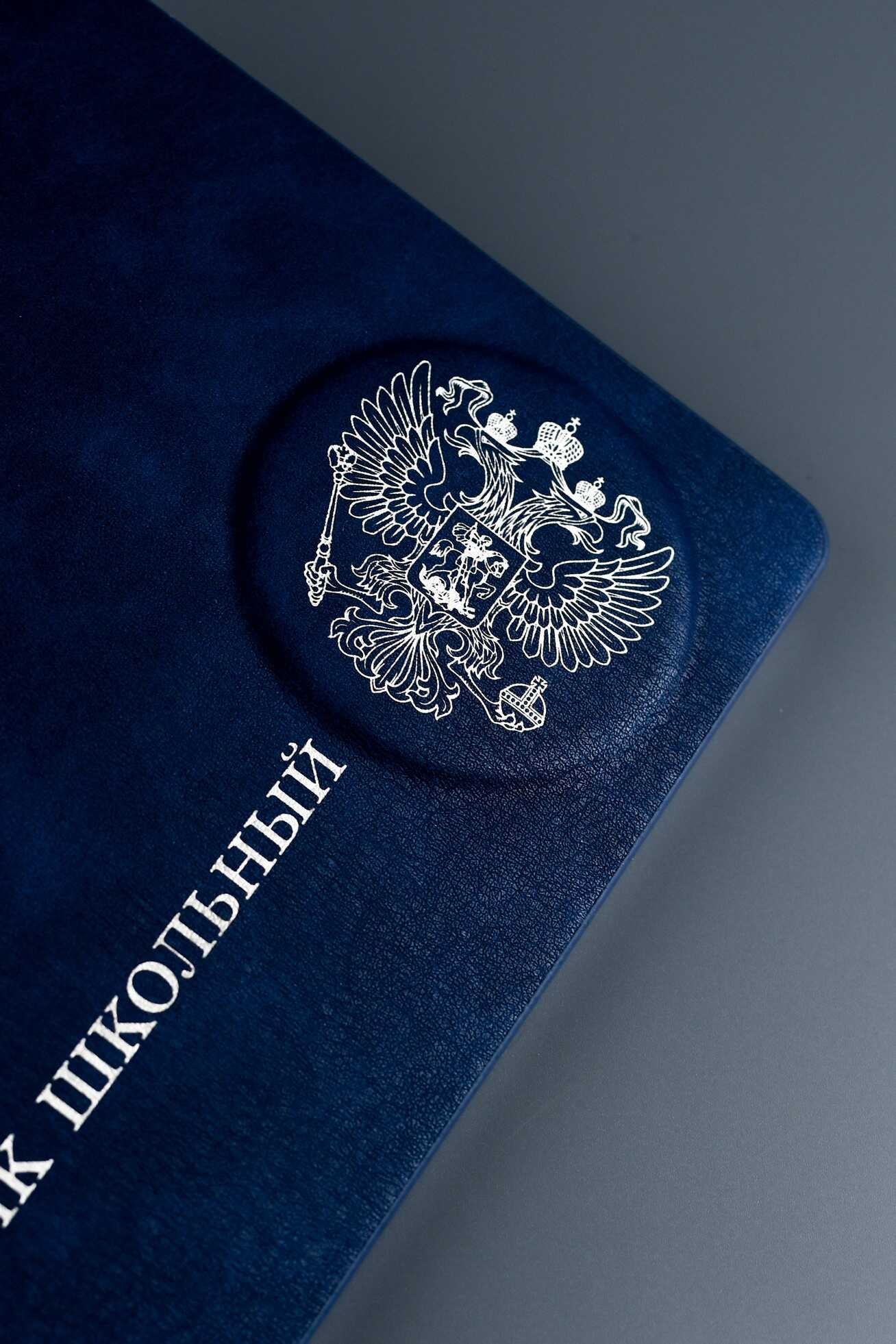 Дневник Феникс + Синий - фото 3