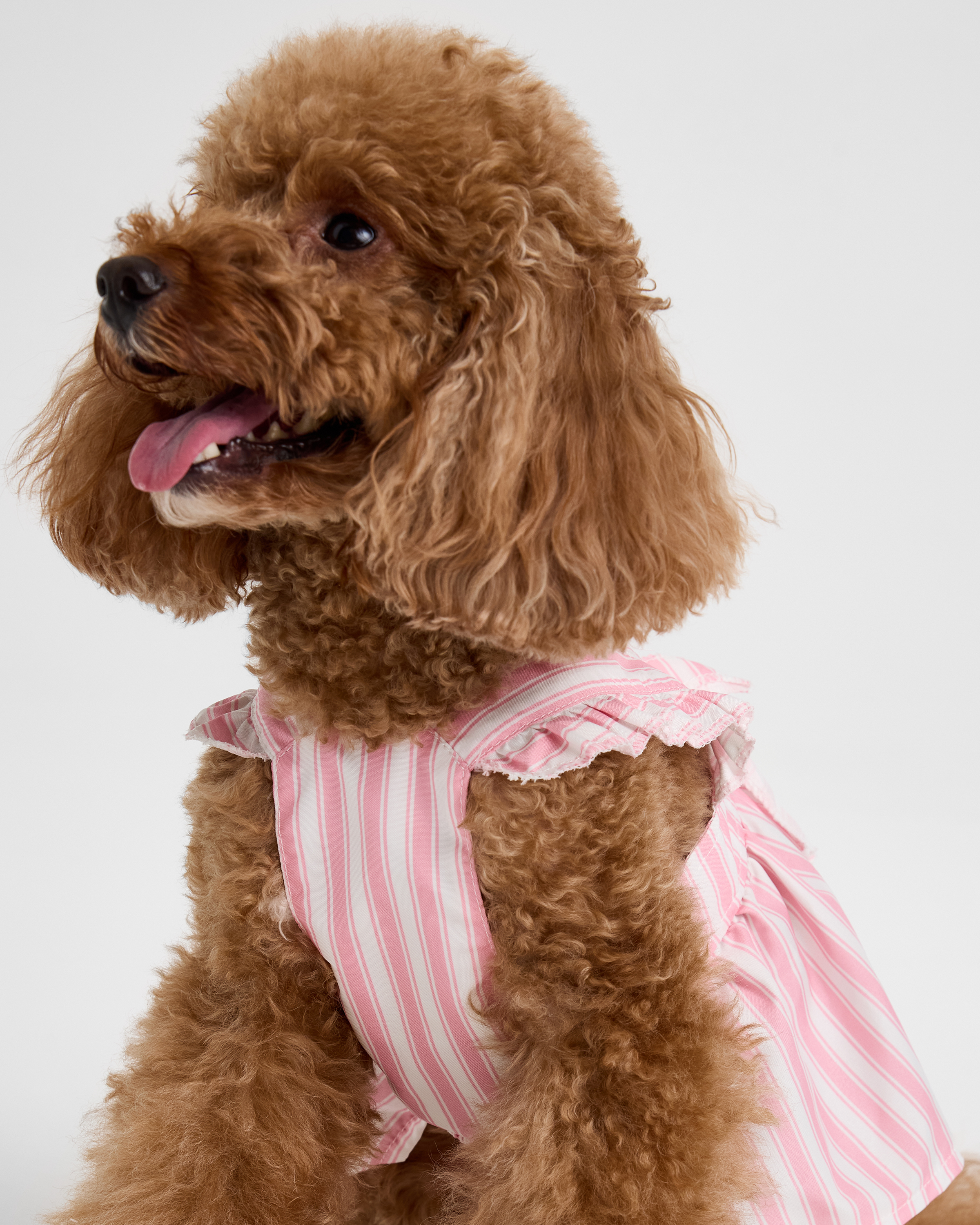 Изображение товара Сарафан Зоозавр для собак и кошек S, розовый полосатый