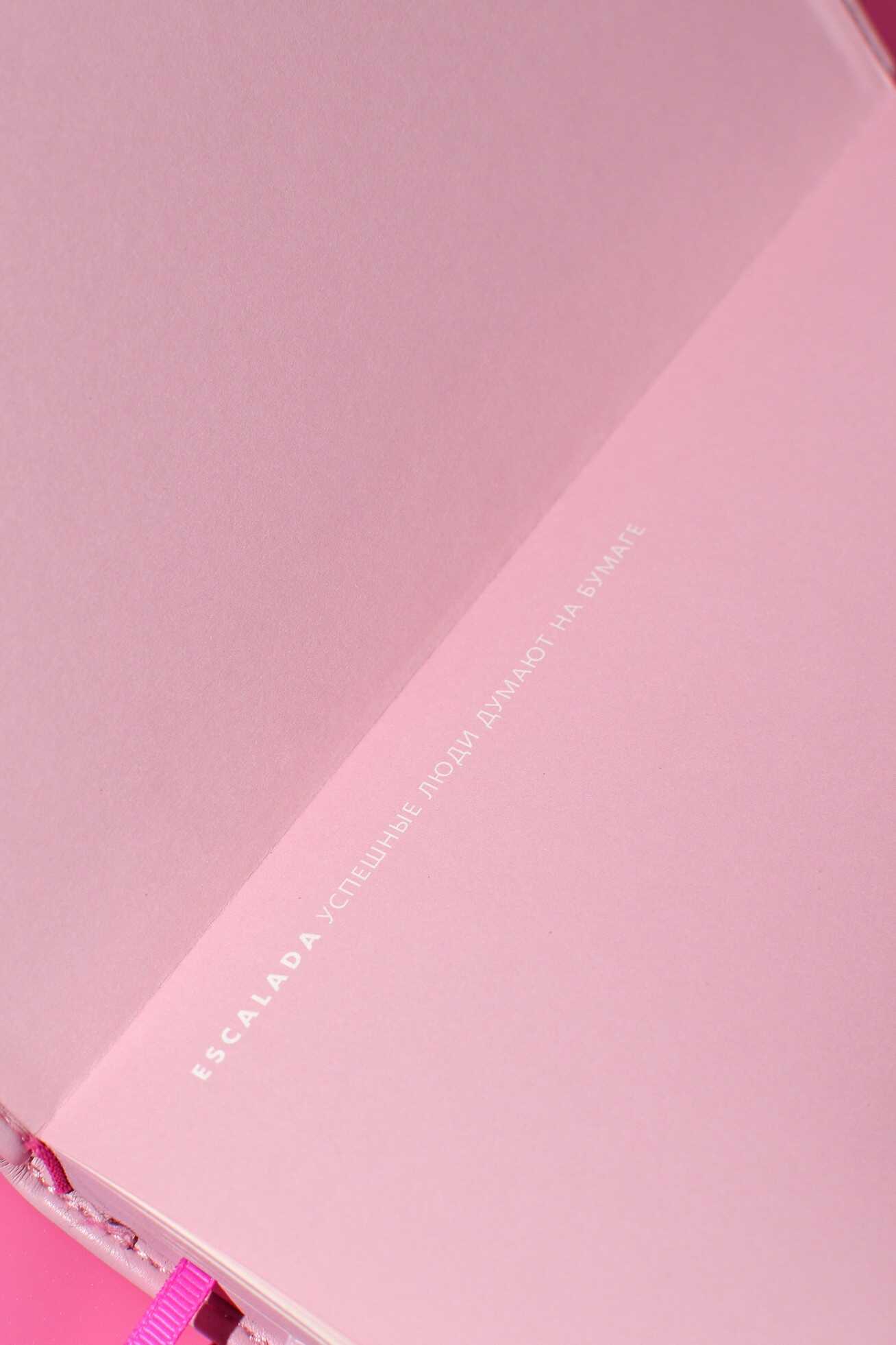 Ежедневник Феникс + ESCALADA 160 лист. - фото 10