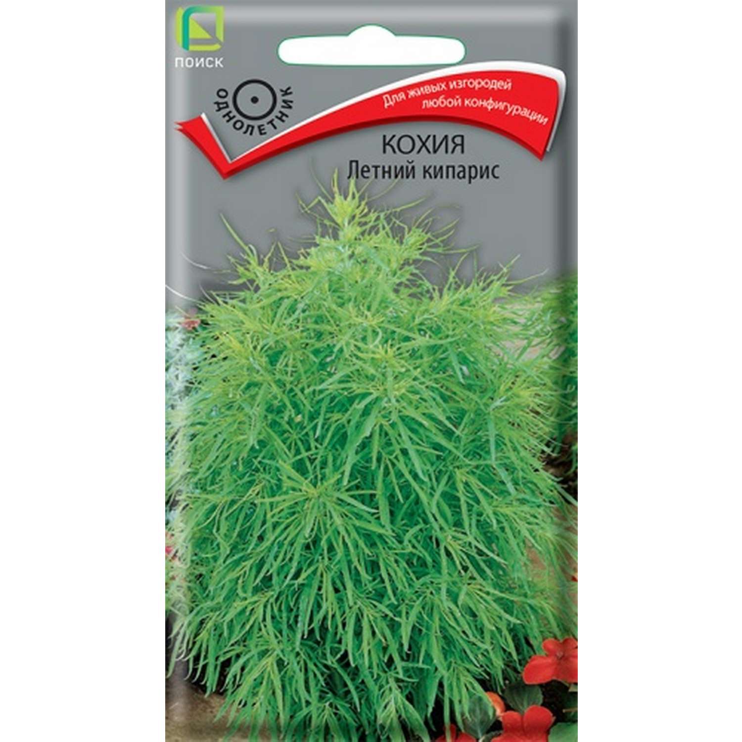 Кохия ПОИСК Летний кипарис 0.2г - фото 1