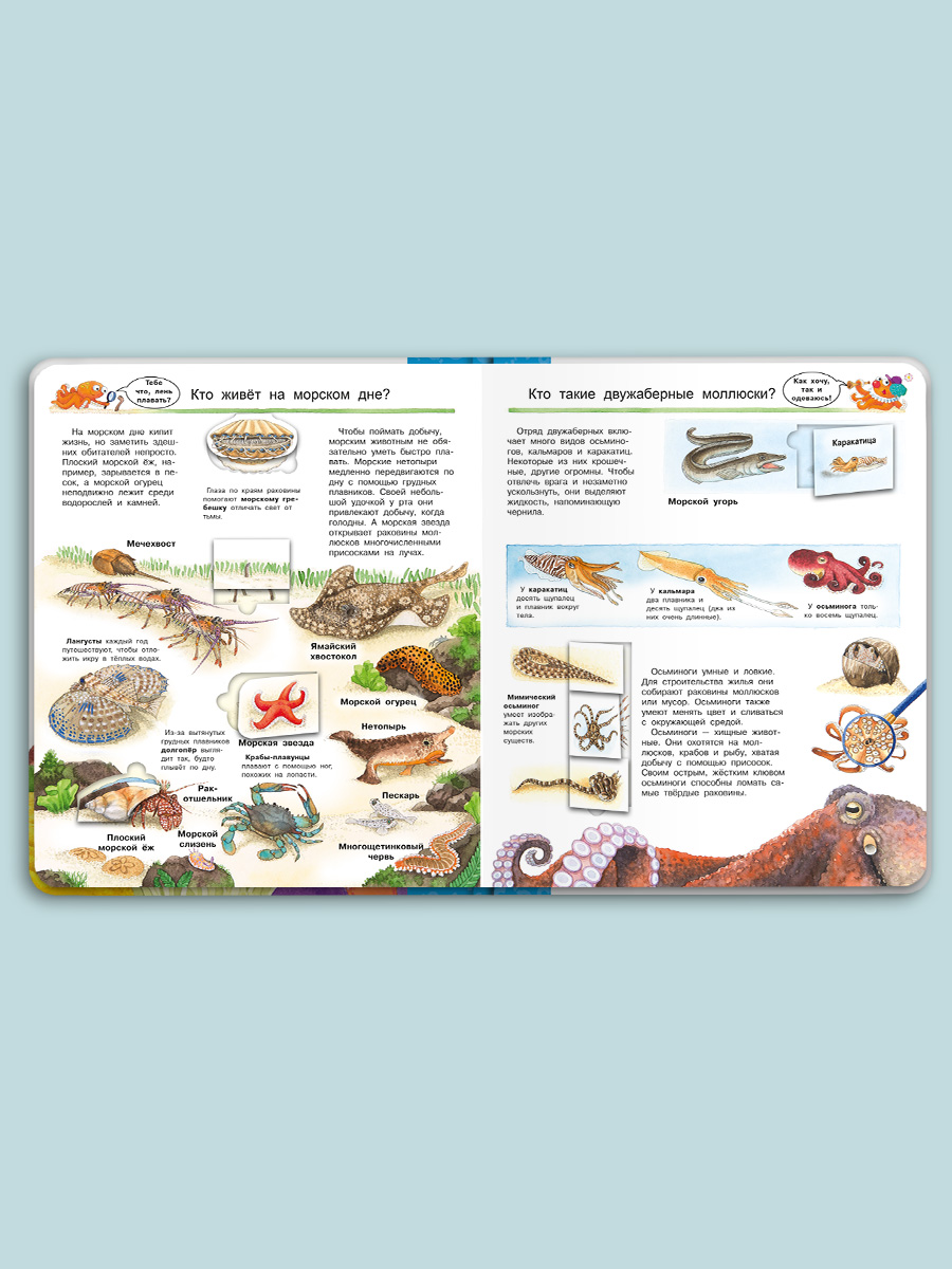 Книга Омега-Пресс Энциклопедия для детей с окошками Мир морских животных - фото 15