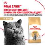 Корм сухой для кошек ROYAL CANIN British Shorthair 400г британской короткошерстной породы