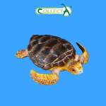 Фигурка Collecta Грифовая Черепаха