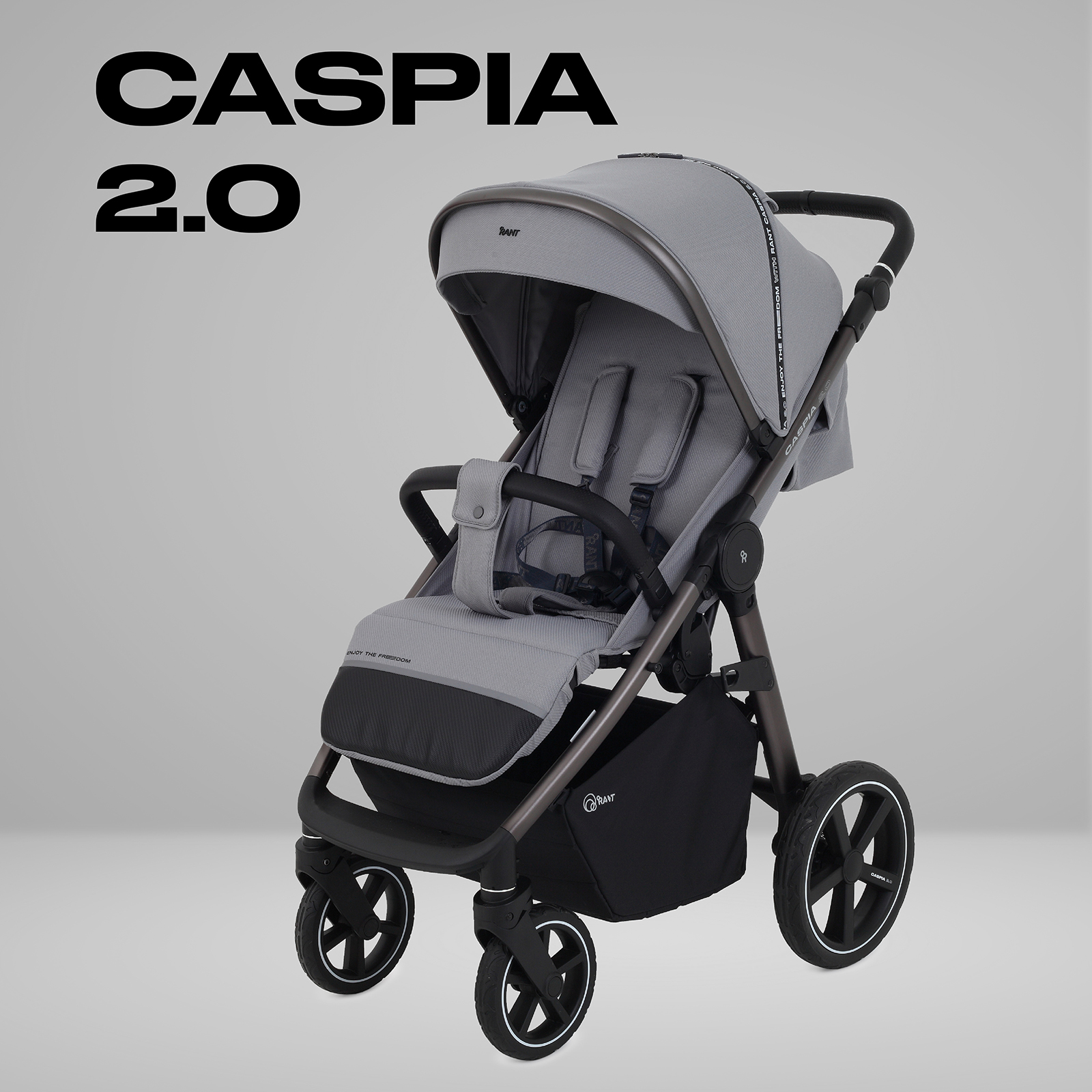 Коляска прогулочная Rant Caspia 2.0 серый - фото 1