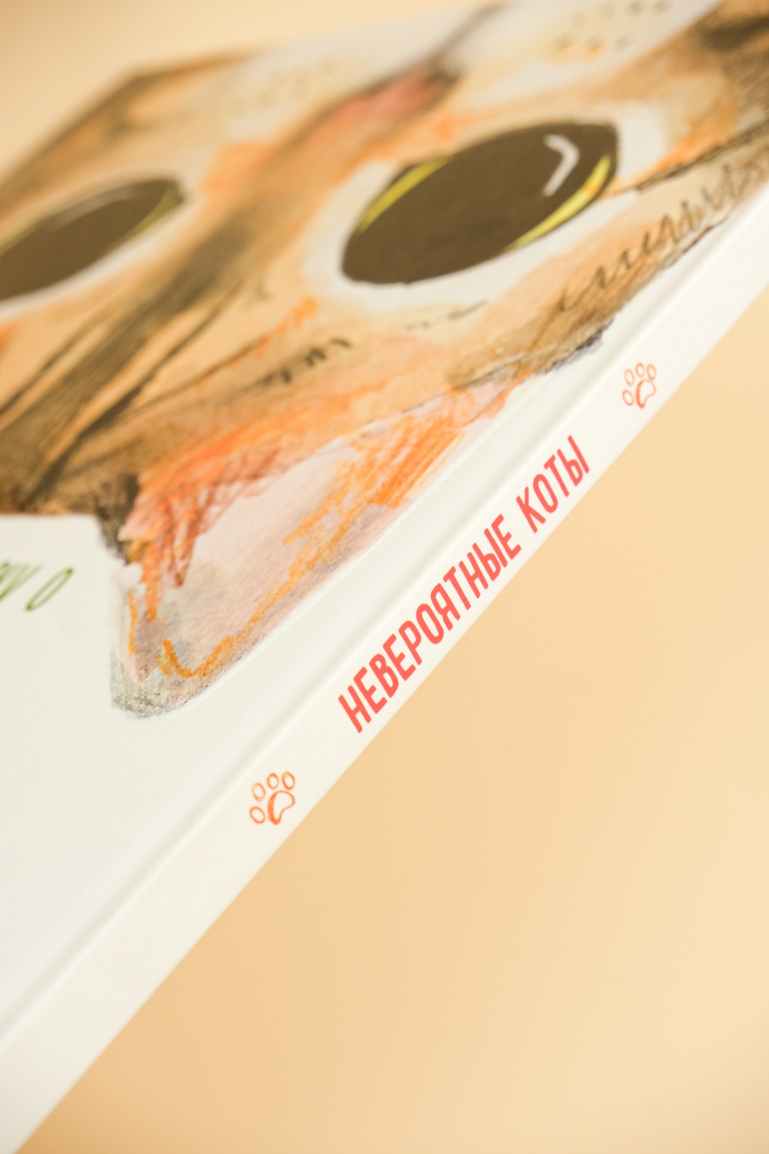 Книга Махаон Энц. Бурсе К. Невероятные коты. Всё, что нужно знать о любимых питомцах - фото 13