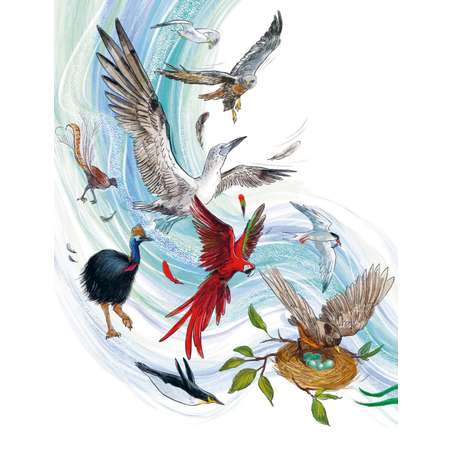 Книга МИФ Птицы. Детская энциклопедия (Чевостик)