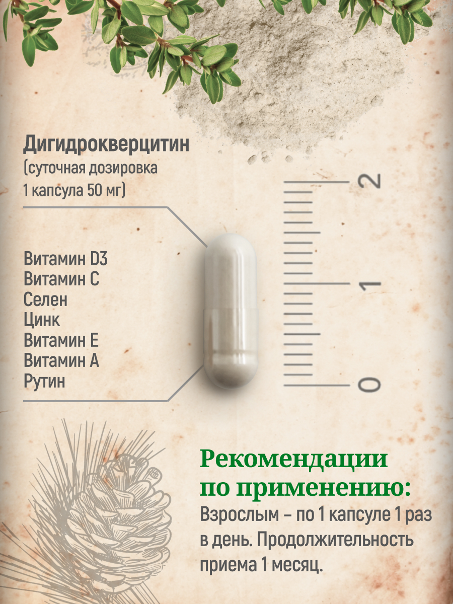БАД MedCraft Дигидрокверцетин сибирский источник кверцетина биофлавоноиды - фото 5
