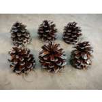 Украшение ёлочное Магия праздника ST100