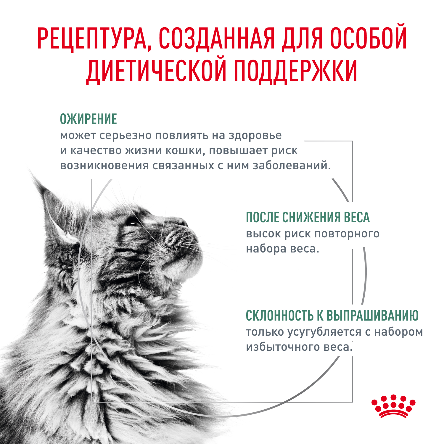 Корм для кошек ROYAL CANIN Satiety Weight Management 85г диетический рекомендуемый для снижения веса пауч - фото 2