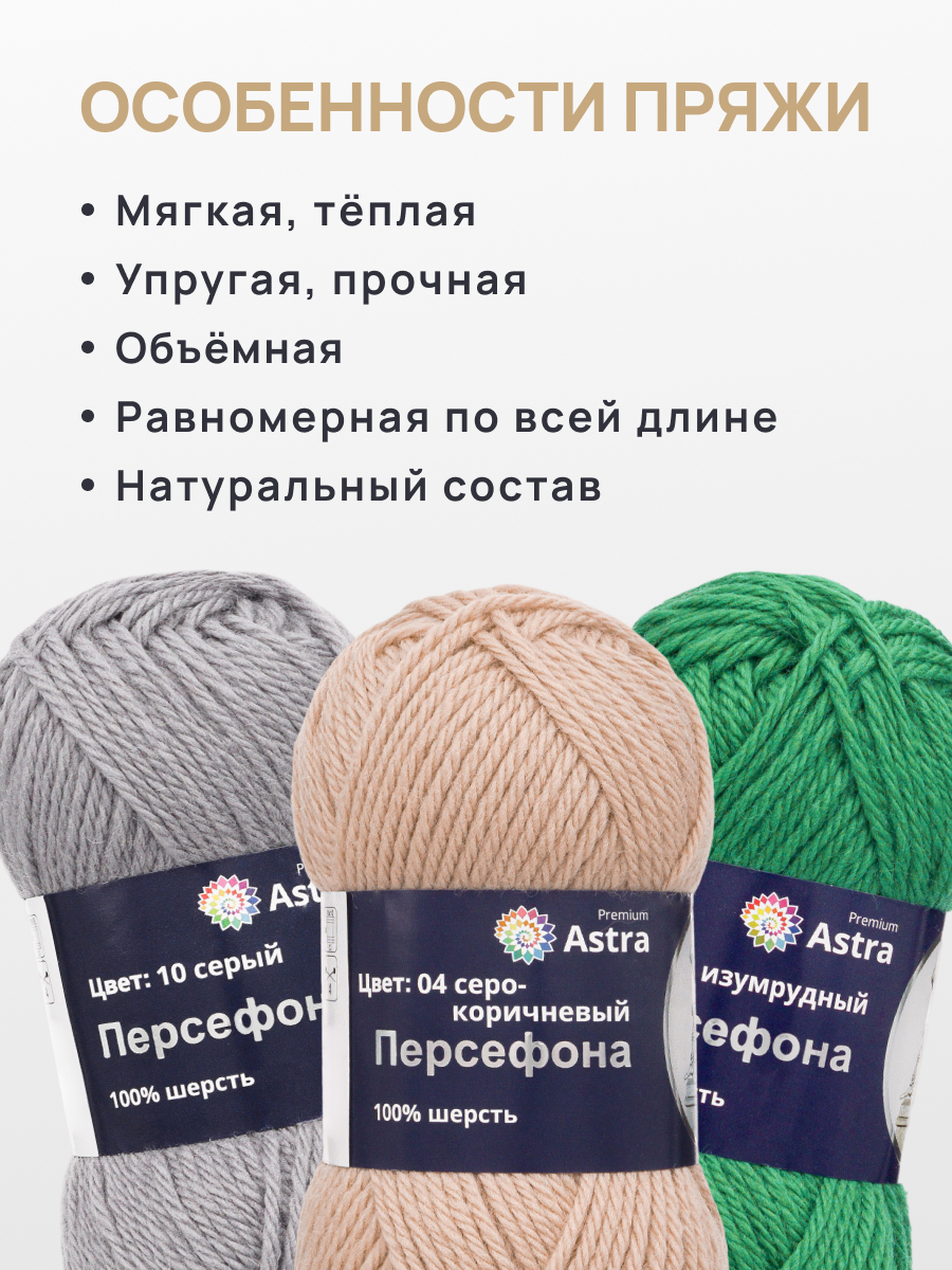 Пряжа для вязания Astra Premium 100г 100м 3шт - фото 2