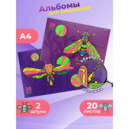 Альбом Prof-Press А4 20 лист. 2 шт.