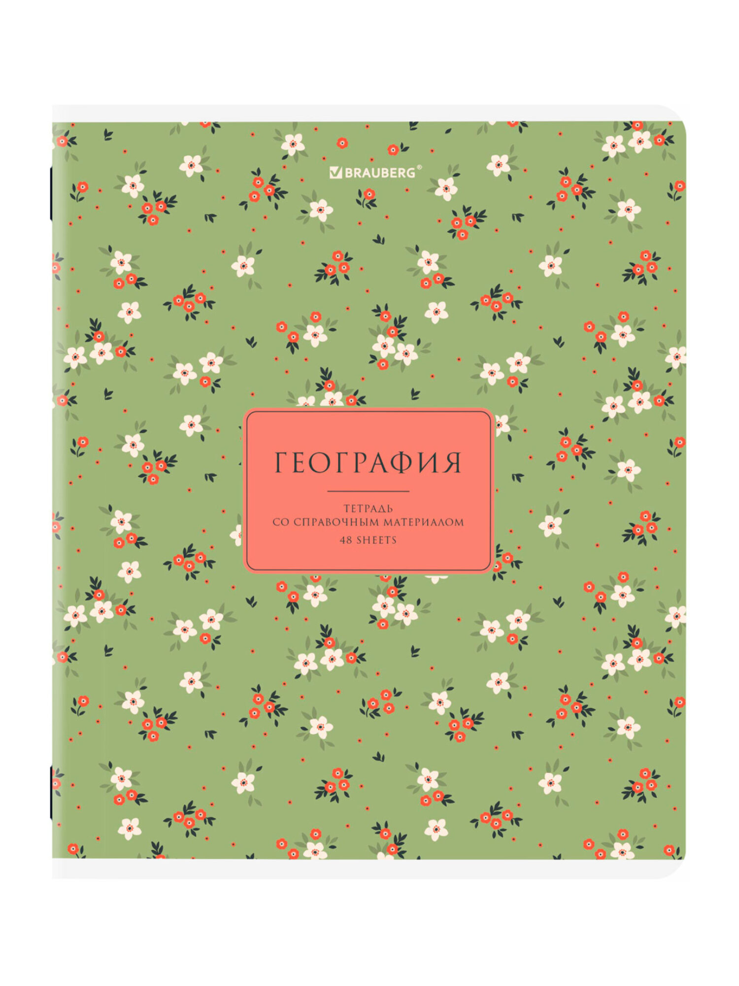Тетрадь Brauberg 48 лист. 12 шт. - фото 13