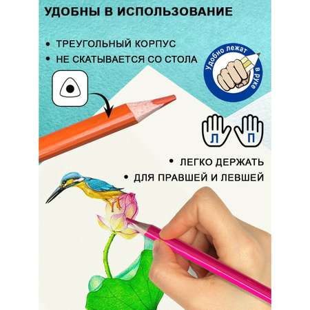 Карандаши цветные ACMELIAE 18 шт.