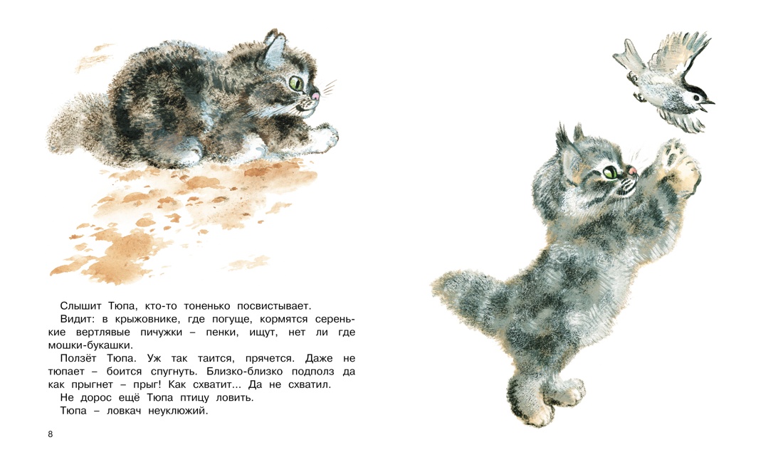 Книга Махаон Друзья. - фото 4