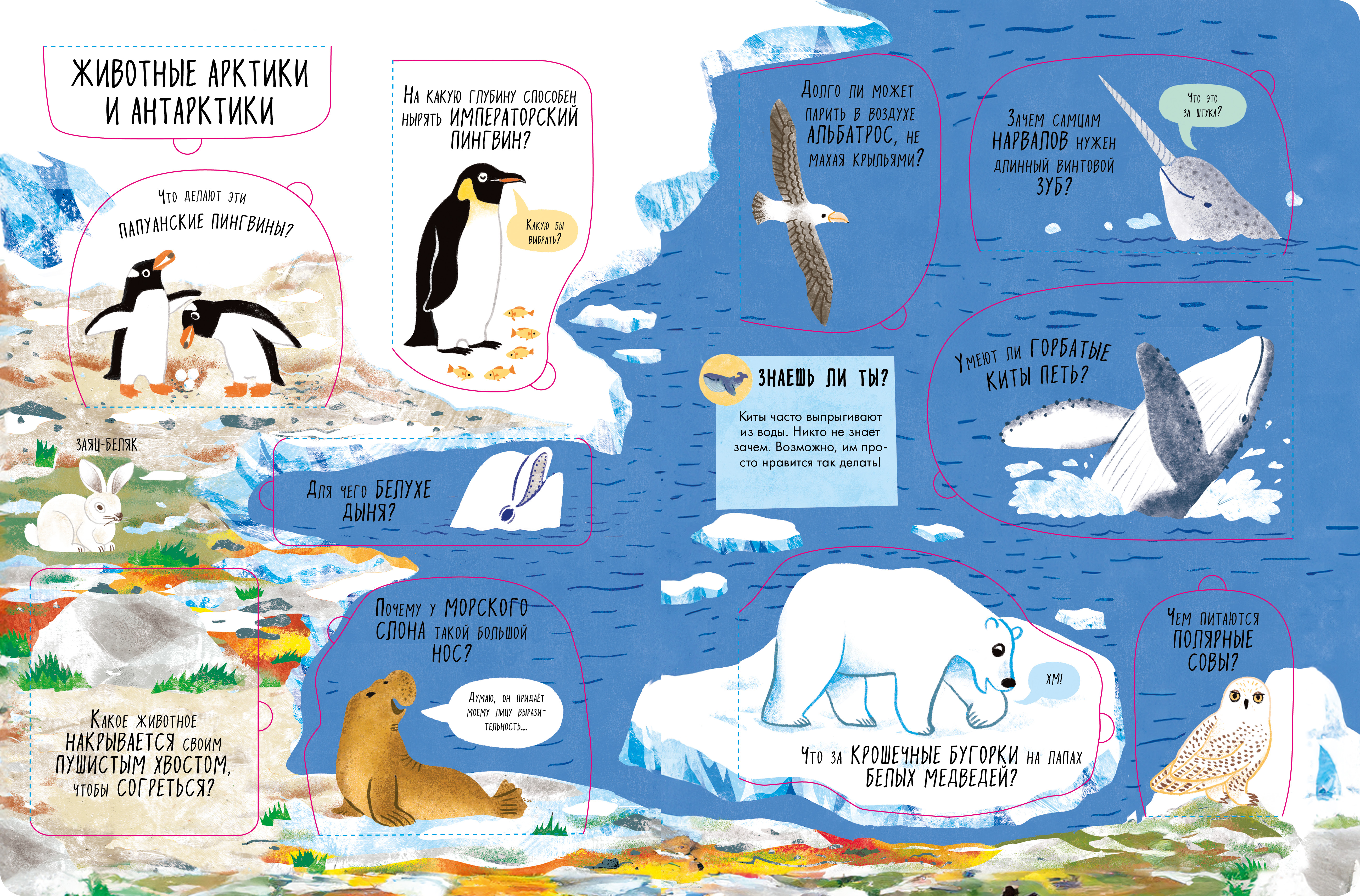 Большая книга Clever с окошками. Животные - фото 2