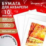 Художественная бумага Brauberg для акварели 10 лист.